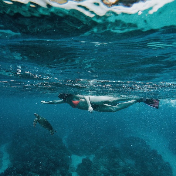 Find me on Instagram 🌴🦩🐚 - Picture 3 of 4